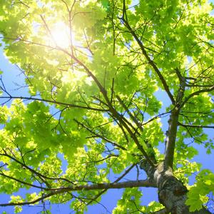 里番全彩acg★无翼娜美
